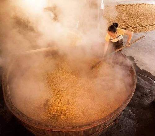 家庭酿酒设备,小型酿酒设备,白酒设备,酿酒设备